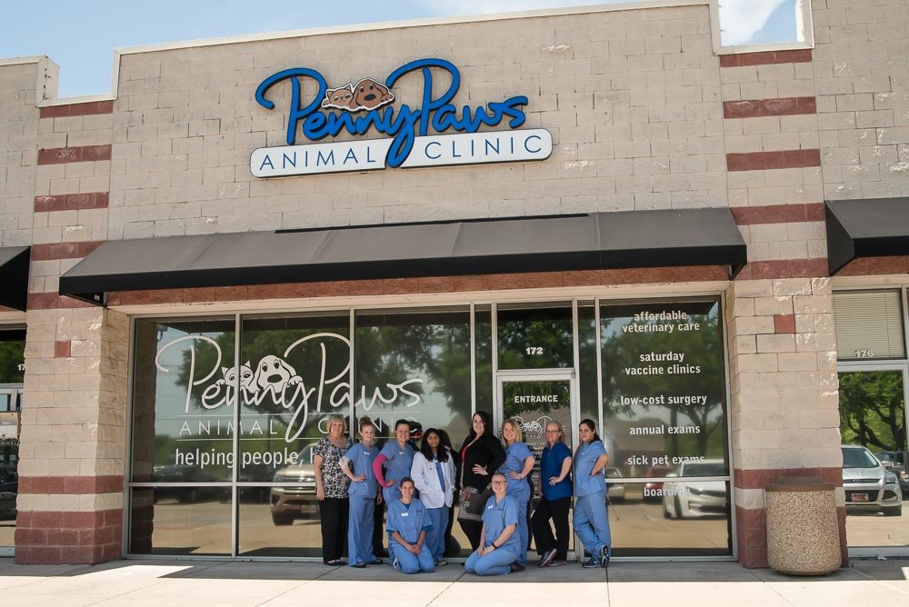 Veterinarian in Fort Worth, TX | Penny Paws